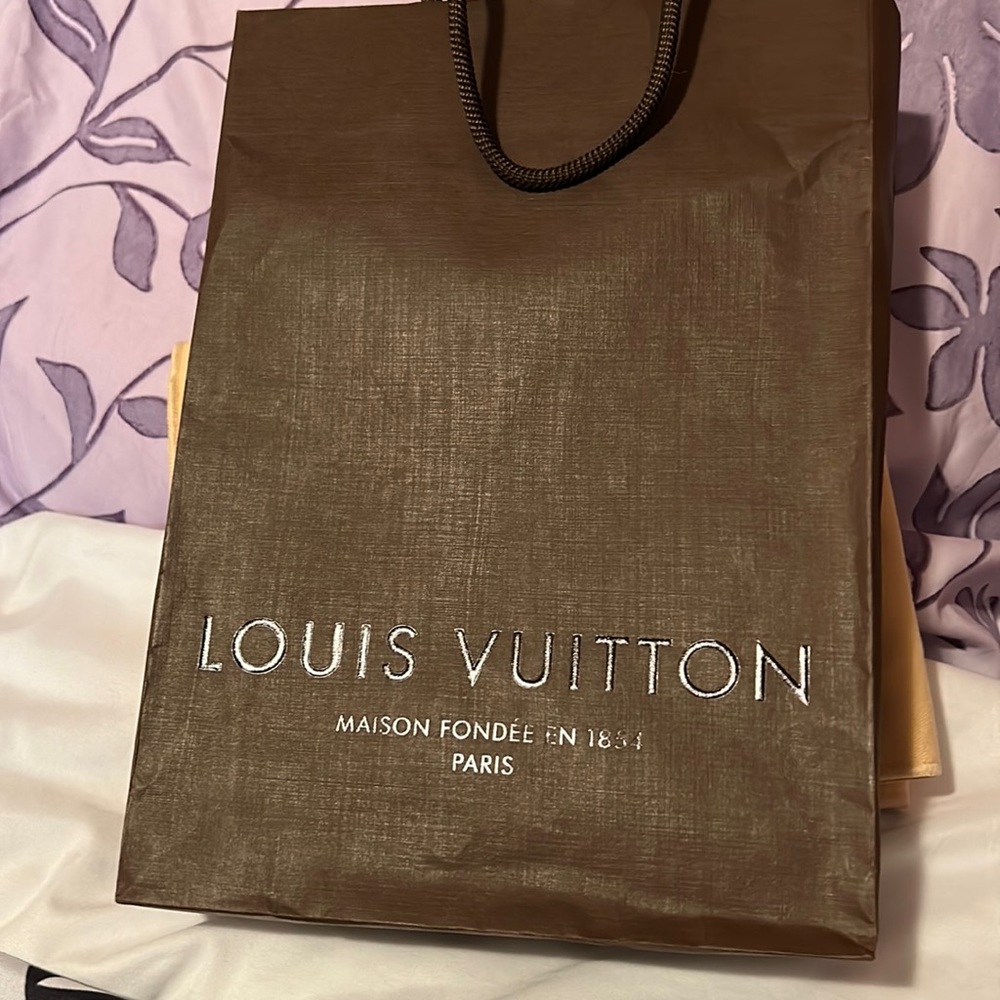 Louis Vuitton Small brown Bag